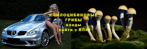 меф Горняк