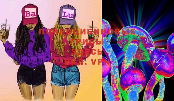 PSILOCYBIN Бородино