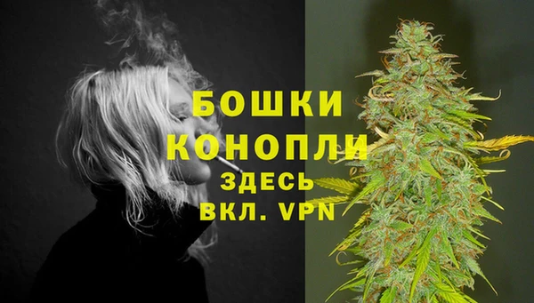 PSILOCYBIN Бородино