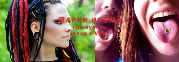 PSILOCYBIN Бородино