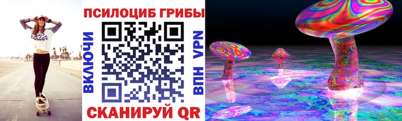 Галлюциногенные грибы Psilocybine cubensis  что такое   Облучье 