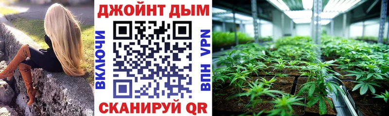 Канабис планчик  mega рабочий сайт  Облучье 